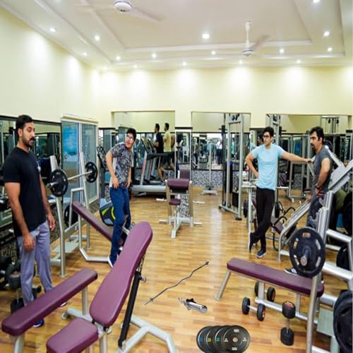 ATEK EZ Curl Bar - 4ft Standard Steel Weight Lifting Curling Chrome Barbell Bar with Spinlock Collars - for Exercise Gym Body Building Weightlifting Barbell Bar for Gym Fitness Training home - Image 6