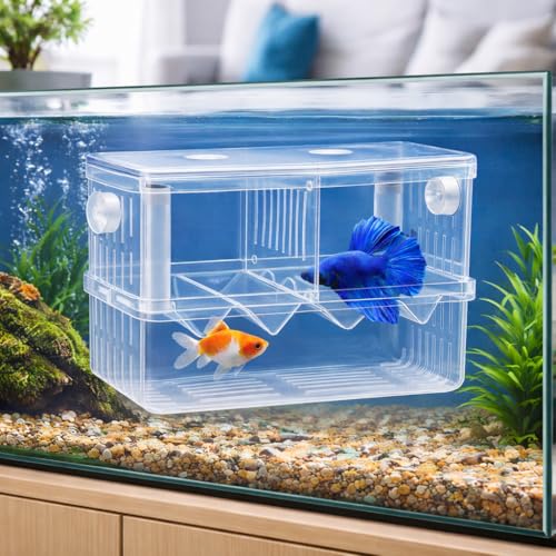 Image of rizopets Aquarium Breeding Box, Double Layer Fish Tank Isolation Box with Divider, Clear Acrylic