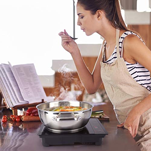 Induction Cooktop Double Burner Portable