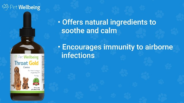 Why choose Throat Gold for your Dog? on Amazon Live