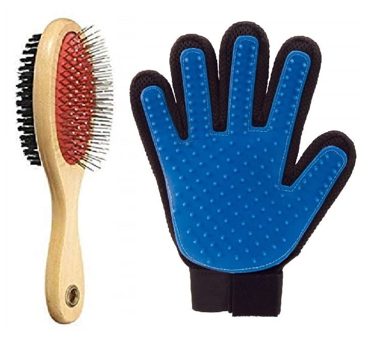 RvPaws Grooming Accessories for Dogs - Large Dog Double Side Pin Bristle Dog Brush | Grooming & Massager Gloves (Combo of 2) (B0BLSTLMQ8) Amazon Price History, Amazon Price Tracker