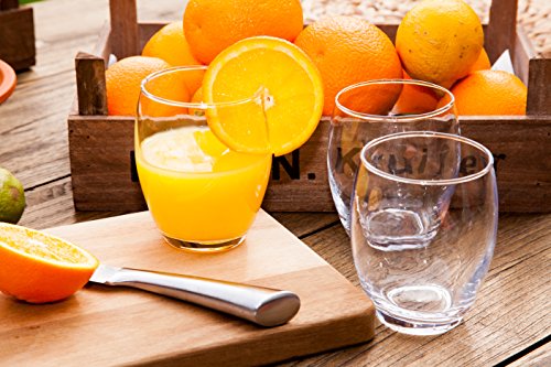 alpina Trinkgläser - Wassergläser Set 6 Stück - 350 ml - Spülmaschinenfest