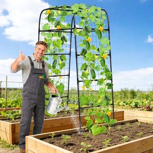 7ft Garden Arch Trellis for Climbing Plants Outdoor-Heavy Duty Metal Cucumber Trellis for Raised Beds- Tall Steel Vegetable Arbor for Climbing Vine Fruit Flower Yard Lawn Arch Tunnel Trellis by MYMULIKE - Used condition - Image 5
