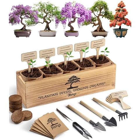 AVERGO Bonsai Tree Kit – 5X Unique Japanese Bonzai Trees | Complete Indoor Starter Kit for Growing Plants with Bonsai Seeds, Tools & Planters – Gardening Gifts for Women & Men Cover