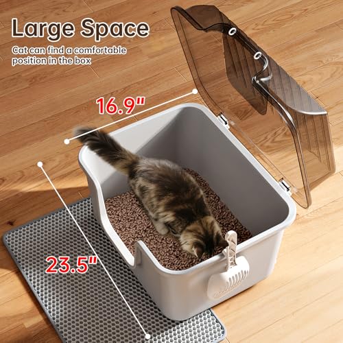 Caja sanitaria grande para gatos con tapa y base, plástico miniatura 5