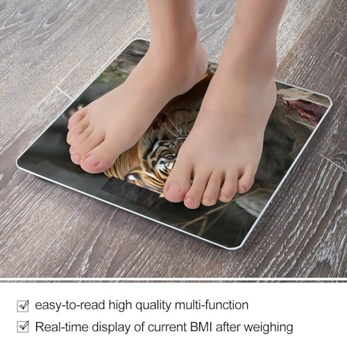 Báscula digital para baño con pantalla LCD y capacidad 400lb miniatura 5