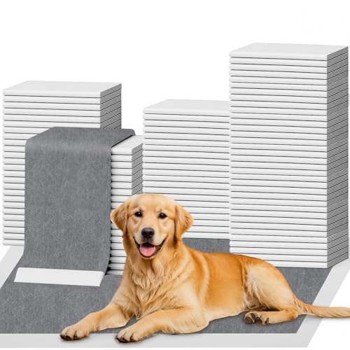 dog training pads