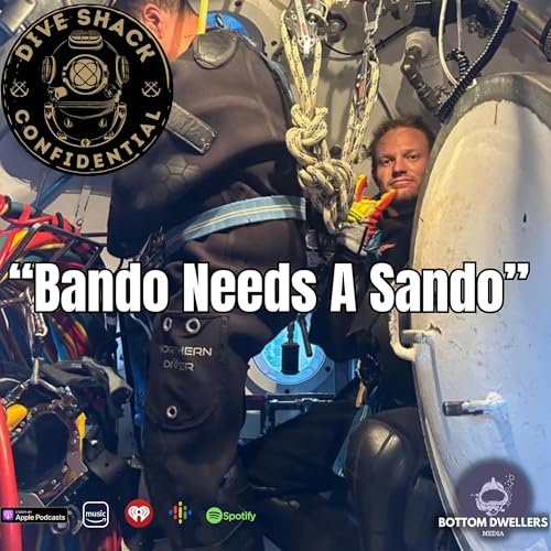 Page de couverture de Bando Needs A Sando