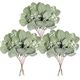 Homcomodar Künstliche Pflanzen Eukalyptus Deko 12Pc Simulation Grüner Eucalyptus Hinterlässt Zweige Silberdollar Eukalyptus Pflanze Bulk für Hochzeit, Garten, Haus, Büro, Indoor Outdoor Dekoration