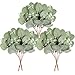 Homcomodar Künstliche Pflanzen Eukalyptus Deko 12Pc Simulation Grüner Eucalyptus Hinterlässt Zweige Silberdollar Eukalyptus Pflanze Bulk für Hochzeit, Garten, Haus, Büro, Indoor Outdoor Dekoration