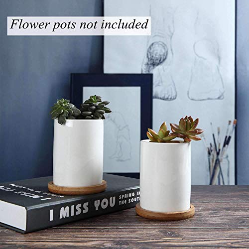 T4U 3 Inch Planter Pot Bamboo Saucer Round Set Of 12, Succulent Pot Holder Drainage Tray For Most Small Ceramic Succulent Planters Holding Drainage Water #TOP2