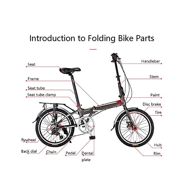 €589.99 DODOBD Bicicletta Pieghevole a 7 Rapporti da 20 Pollici, Bici  Adulta Città degli Studenti Commuter Freestyle Bicicletta, Adatta a Partire  da 145 cm a 185 cm - bikewebshop.it