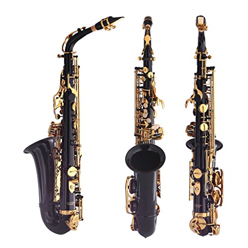 Image of Kaizer Alto Saxophone E Flat Eb Black Lacquer Body Gold Keys 1000 Series Sax Includes Case Mouthpiece and Accessories ASAX-1000BKGK