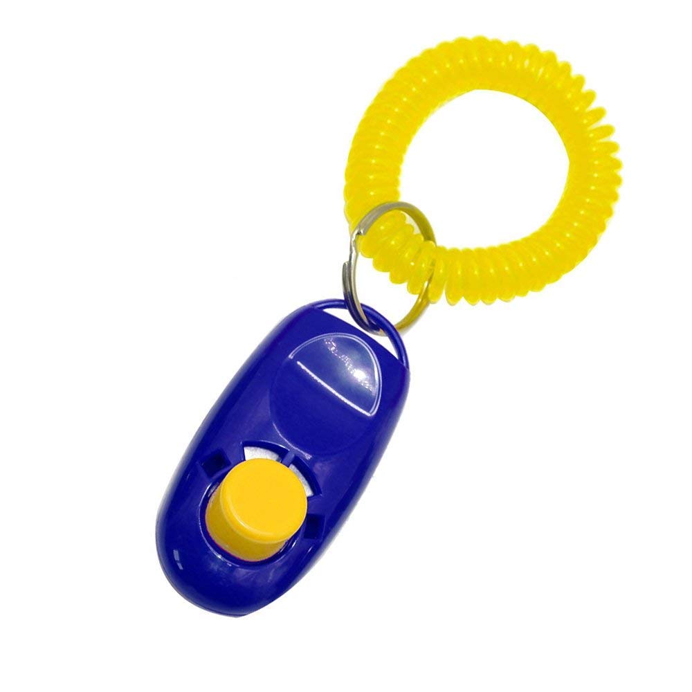 PSK Pet Mart Pet Dog/Cat/Kitten/Puppy Training Clicker with Wrist Strap (Blue) (B07WTVDMGB) Amazon Price History, Amazon Price Tracker