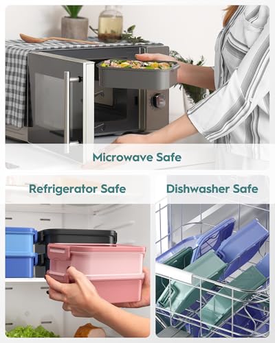 Canfanni Insulated Bento Box Set