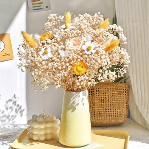 Dried Baby's Breath Flowers Bouquet Natural Dried Flowers Baby's Breath Real Gypsophila Branches for Wedding Table Vase Party Garden DIY Wreath Floral Home Decor(Beige) - Image 3