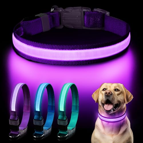 Collar Luminoso Pewkim, Collar LED para Perro, Recargable,
