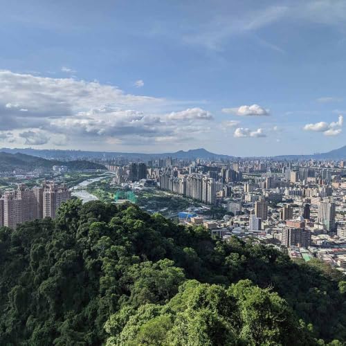 Lion Cub Mountain and Japan return plans