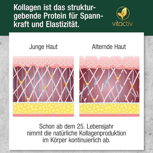VITACTIV Collagen Pulver 300g - Kollagen Hydrolysat, Typ 1 & 3 Peptide - 19 essenzielle Aminosäuren - Hohe Bioverfügbarkeit, ohne Zusätze, Geschmacksneutral - Laborgeprüft in Deutschland