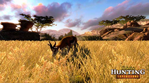 Image of Cabela's Hunting Expeditions - Nintendo Wii (Renewed)