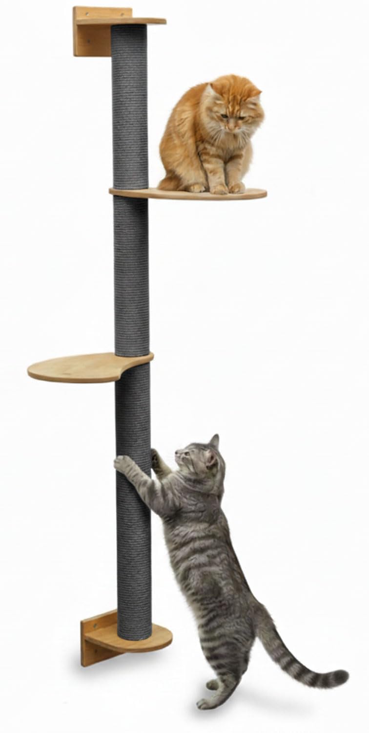 eyepower 130 cm Wandkratzbaum Luna mit 2 Plateaus zum Klettern - Kratzbaum Groß für Katzen - Kletterbaum mit Wandhalterung - Katzenbaum zur Wandmontage - Kletterwand Katze Kratzstamm Kratzsäule Wand