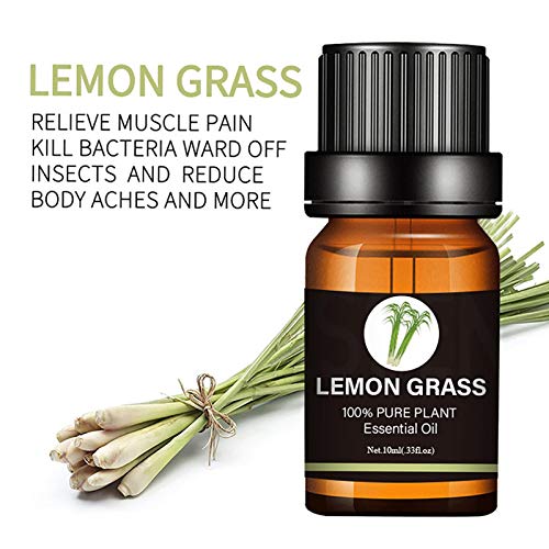 6 STKS 10 ML Aromatherapie Etherische Oliën Gift Set, Pure Essentiële Olie Set Pure Geurende Oliën voor Olie Diffusers… - Image 4