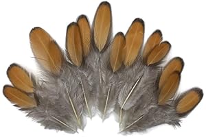 Moonlight Feather 1 Dozen Golden Brown Whiting Farms Laced Hen Saddle Feathers