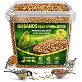 AF® Gusanos de la Harina Deshidratados 300g, 2,5L Tenebrios Molitor Natural para Reptiles, Erizos y Gusanos para Pájaros, Snack Alto en Proteína 52%, Comida para Vencejos 100% Natural