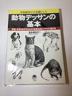 ゼロから学べる!パースの基本 (ナツメ社Artマスター) | ハード