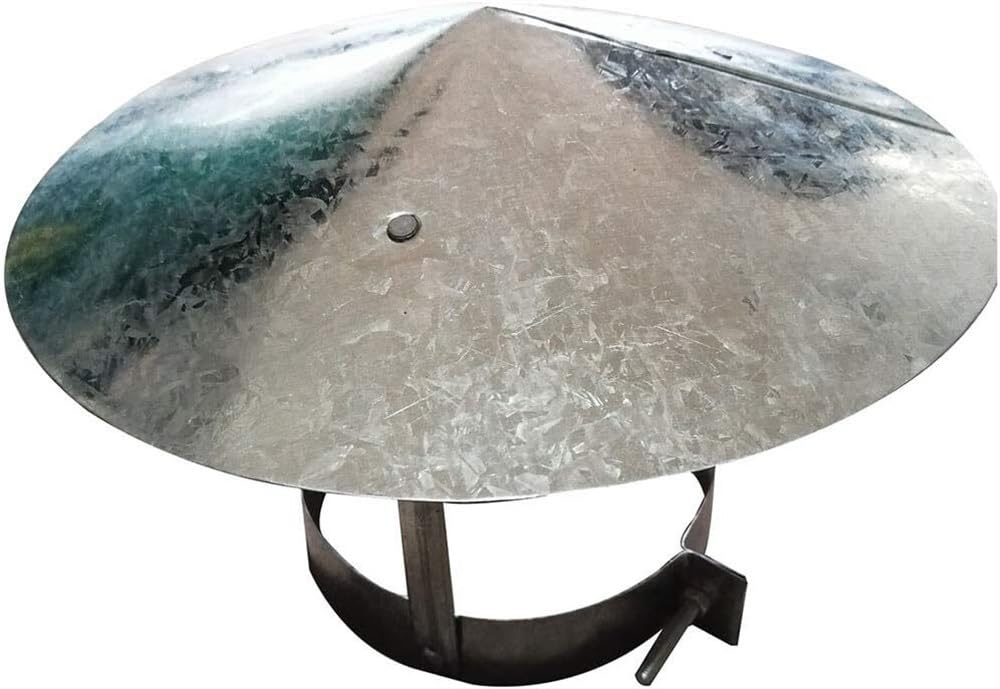 Roestvrijstalen schoorsteenkap, 250 mm/300 mm dakkap regenhoes paraplu