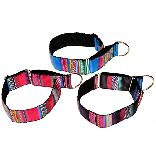 ZOOLESZCZ MARTINGALE - Colliere per cuccioli di