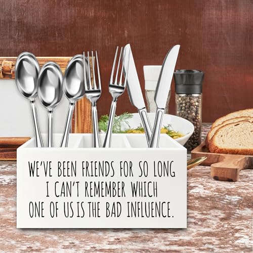 Image of Funny Sarcastic Friendship Pen Pencil Holder Organizer for Desk, Humorous Gifts, We've Been Friends for So Long I Can't Remember Which Wooden Box Signs Decor for Home Office Desk Tabletop