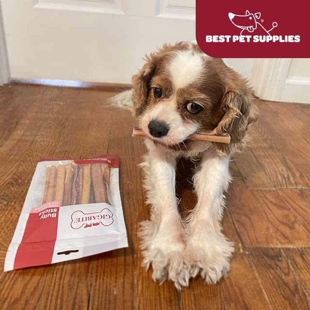 Image of GigaBite Bully Sticks for Dogs All Natural Beef Pizzle Dog Chews, Odor & Rawhide Free Dog Treats, Long Lasting High Protein Chews Digestible Dental Dog Treat - Sticks (Regular 6 inch), Pack of 8