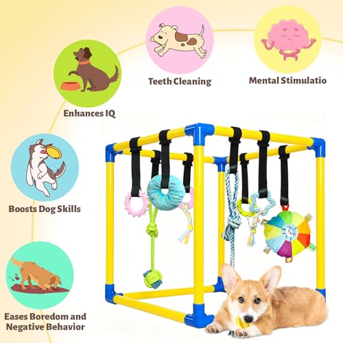 Gymnase de jeu pour chiot et petits chiens avec aire interactive - 6