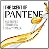 Pantene Daily Moisture Renewal 2 in 1 Shampoo & Conditioner 25.4 Fl Oz