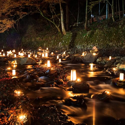 Intuitive Meditation: Connecting With Your Ancestors cover art
