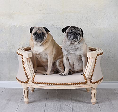 Hundesofa Katzensofa Liege Hunde Katze Bank Hundebett Katzenbett Couch Barock cat700d18 Palazzo Exklusiv