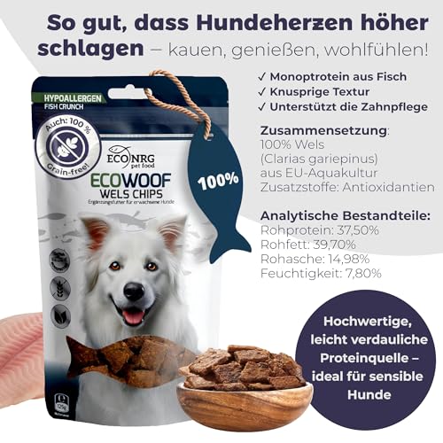 ECO WOOF Fisch Hundeleckerli - 100% Wels Chips - 750 g - Hypoallergen - Single-Protein - Getreidefrei - Hunde Snack mit Omega 3 & Kollagen - Ideal für empfindliche Hunde - Gesunde Trainingsleckerli