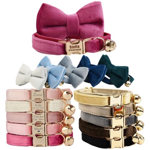 Collare per gatti personalizzato con campana e targhetta con nome, collare in velluto personalizzato con fiocco e ID inciso, collare di sicurezza staccabile regolabile per gatti, elegante regalo per