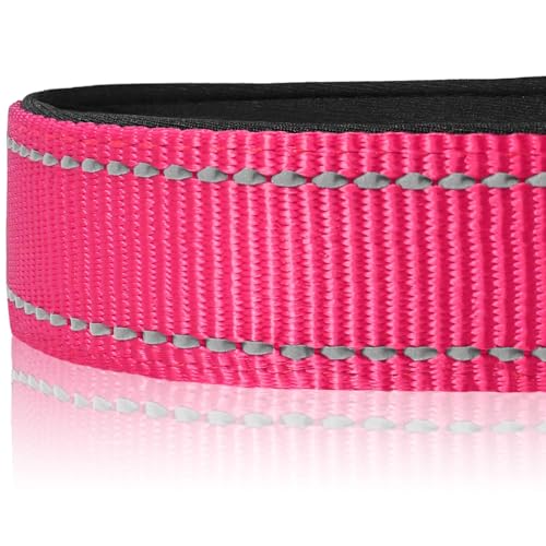 Joytale Halsband Hund, Gepolstertes Hundehalsband Breit aus Neopren Nylon Hundehalsband Verstellbar für Kleine Hunde, Weich und Reflektierend Hundehalsbänder, S, Hotpink