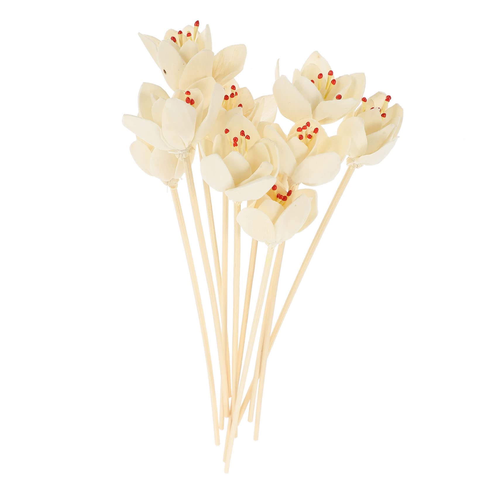 Cabilock 5 Series Rota De Aromaterapia Oleos Essenciais Essential Oils Essential Oil Diffuser Baño para Botella De Aroma Inserta Palos Difusores De Aroma Decorativos Papiro 10 Piezas X 5