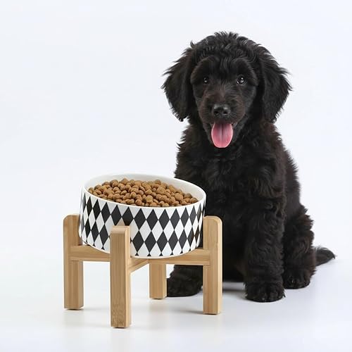 Miniatura 9 de Petygooing Tazón elevado/relevado de cerámica para perros de 15° inclinado para razas pequeñas y medianas, tazón antideslizante inclinado para Negro