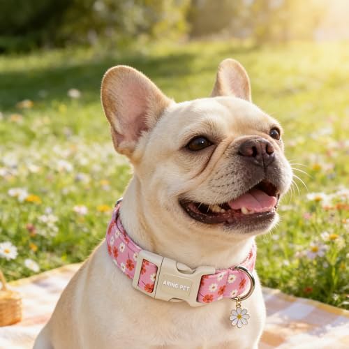 Image of ARING PET Girl Dog Collar for Puppy Small Medium Large Dogs-Pink Floral M | Cute Spring Summer Flower Pet Collars for XS S M L XL Girl Female Dogs, Soft Comfy Sturdy, Neighborhood Stroll Everyday Wear