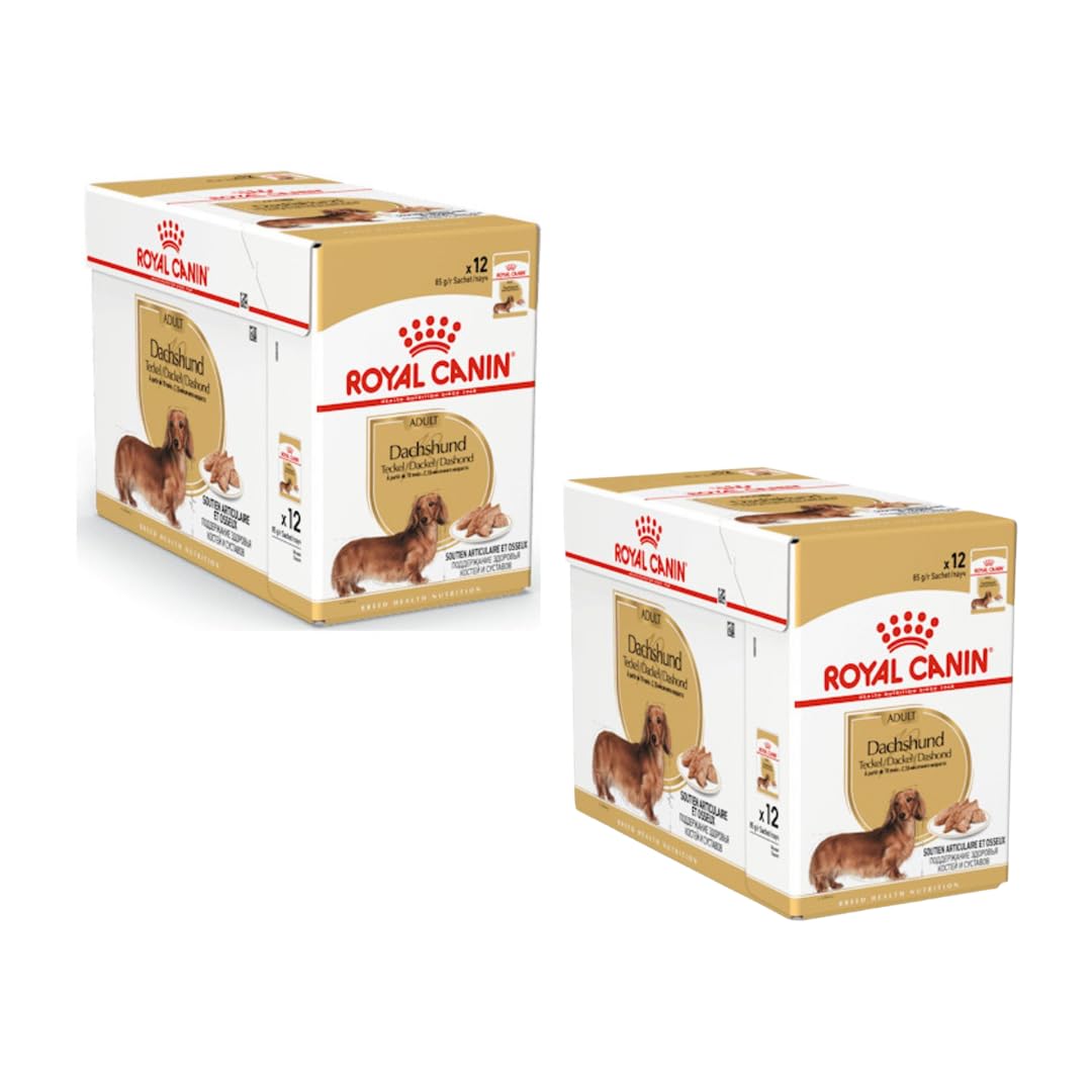 Royal Canin Teckel Adulte Mousse | Pack Double | 2 x 12 x 85 g | Aliment Complet pour Chiens | Teckels Adultes