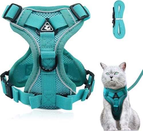 Justerbar kattsele som är okrossbart, kattsele med koppel, mjuk sele för katt, bröstsele för katter, kattungar, hundar, valpar (blå sjön, XS)