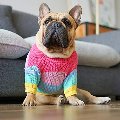 Khemn Regenbogen Strickpullover Hundepullover - Niedliche Hundekleidung für Französische Bulldogge/Englische Bulldogge/Bullterrier/Mops (L)