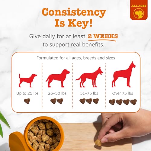 Zesty Paws Dog Allergy Relief Chews, Dog Probiotics for Itchy Skin and Ears, Salmon, 90ct
