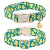 Maca Bates Cute Dog Collar with Rubber Duck Charm for Small Girl Boy Dogs, Green Yellow Ducks Pattern,Adjustable Durable Soft Plaid Collars Irish St. Patrick Gift for Male Female Puppy #5