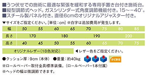 Amazon.co.jp: 【高田ベッド カイロベッド】 GSイージーDX 幅50 長170