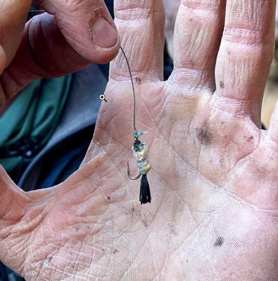 Essentials Kit for Daily Use by Wazoo Survival Gear - Image 9